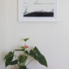 ANEW - Image 5
