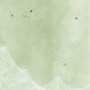 EVER - Image 2