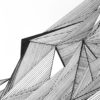 FERUS - Image 3
