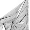 FERUS - Image 4